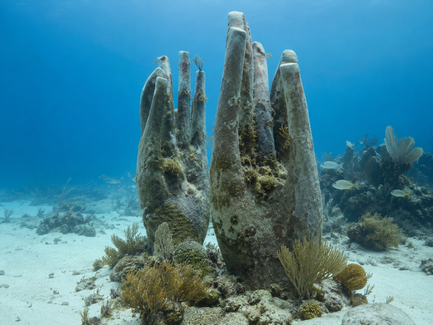 A custom hand-sculpture memorial reef rising from the ocean floor, part of the International Reef Memorialization program.