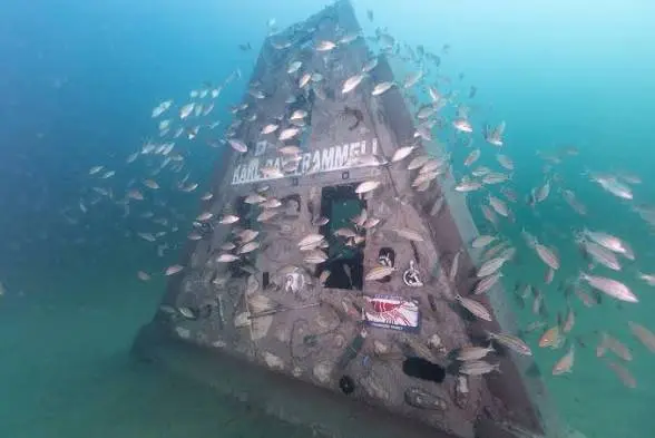 A pyramid memorial reef bearing a personalized name plaque, swarmed by hundreds of fish.