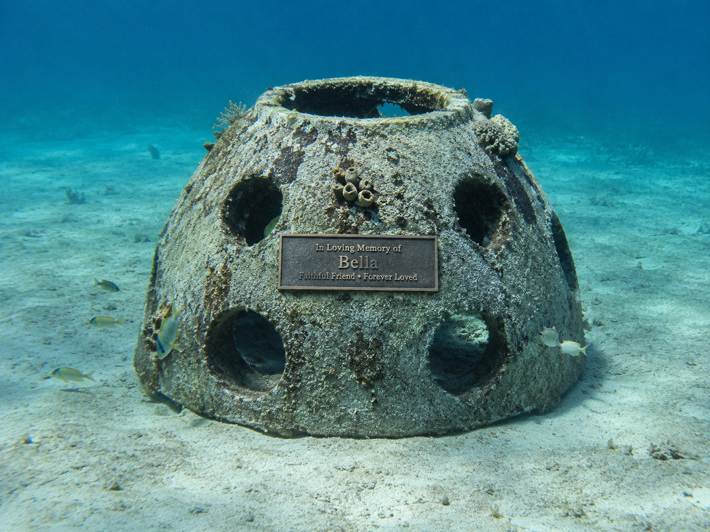 A Pet Memorial Reef pod with a personalized 'In Loving Memory' plaque on the sandy seafloor.