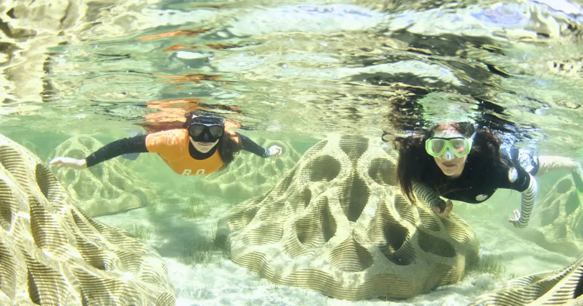 Two snorkelers glide over intricately sculpted artificial reef structures in clear, shallow water.